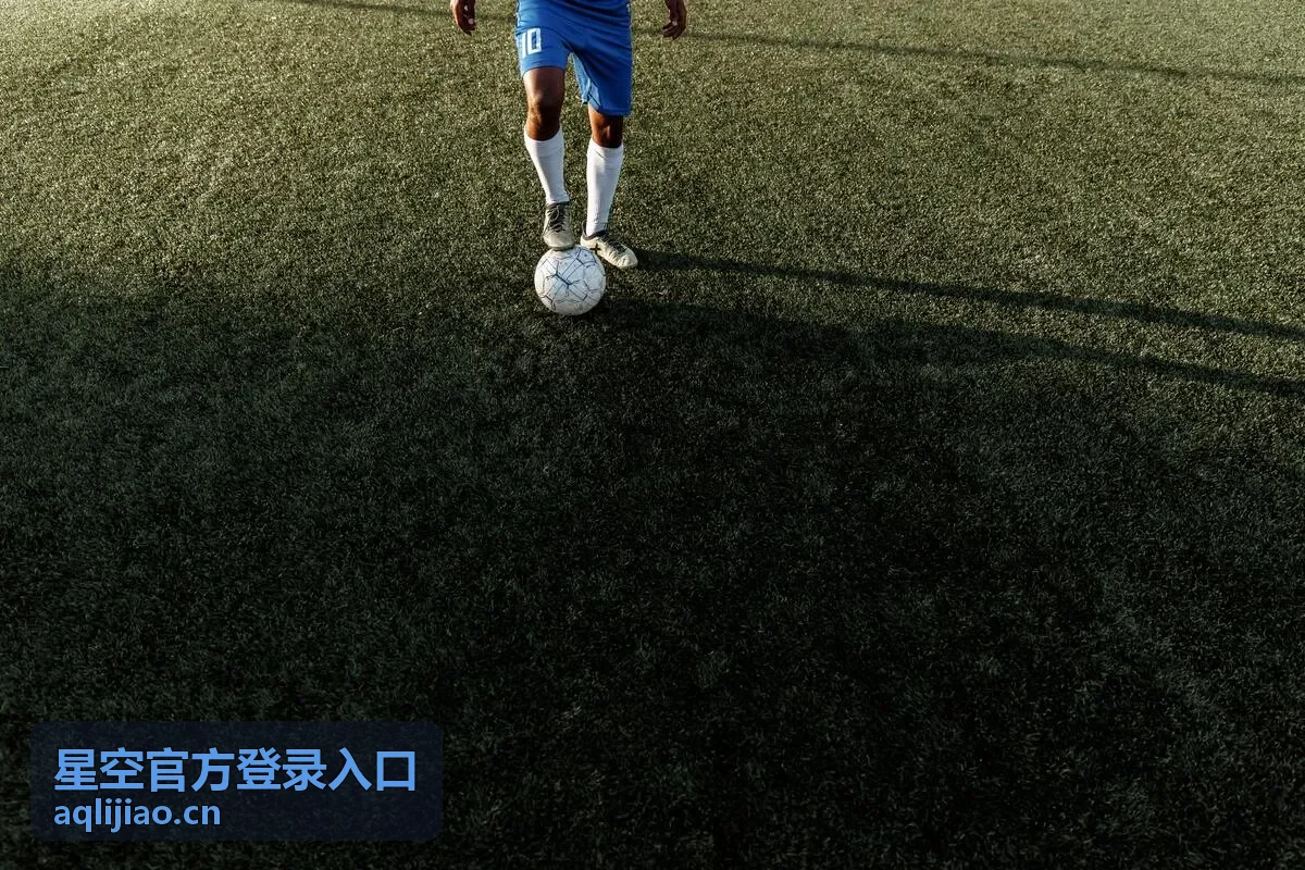 星空官方登录入口数据服务模块