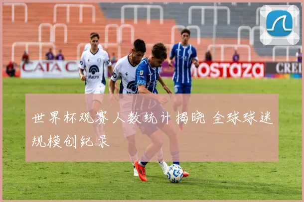世界杯观赛人数统计揭晓 全球球迷规模创纪录